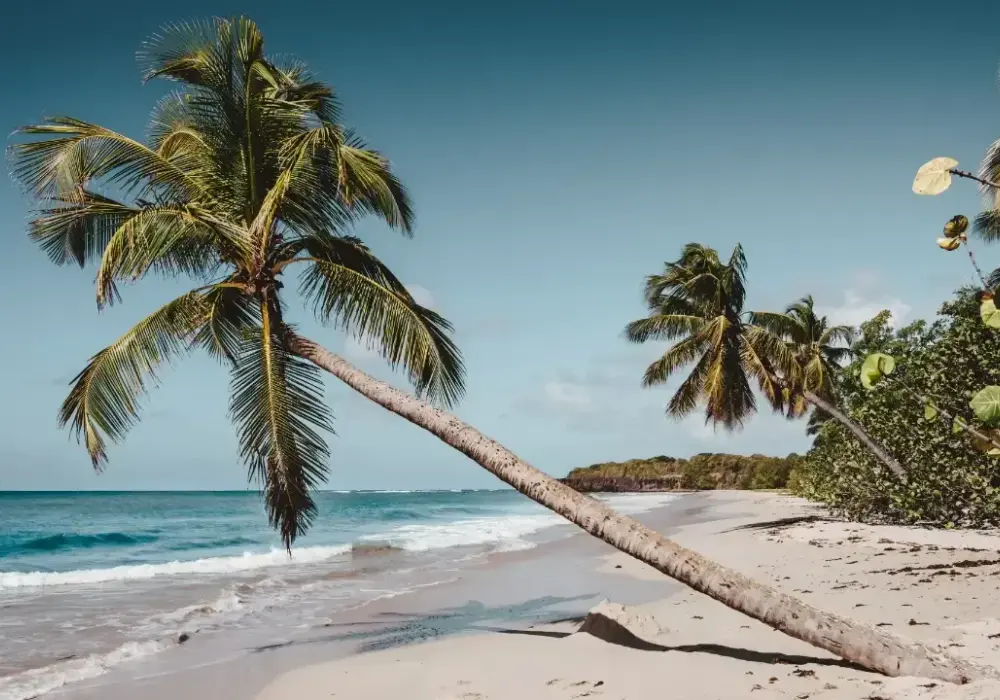 Jak zaplanować wymarzony odpoczynek na Bali: wyprawa życia od A do Z