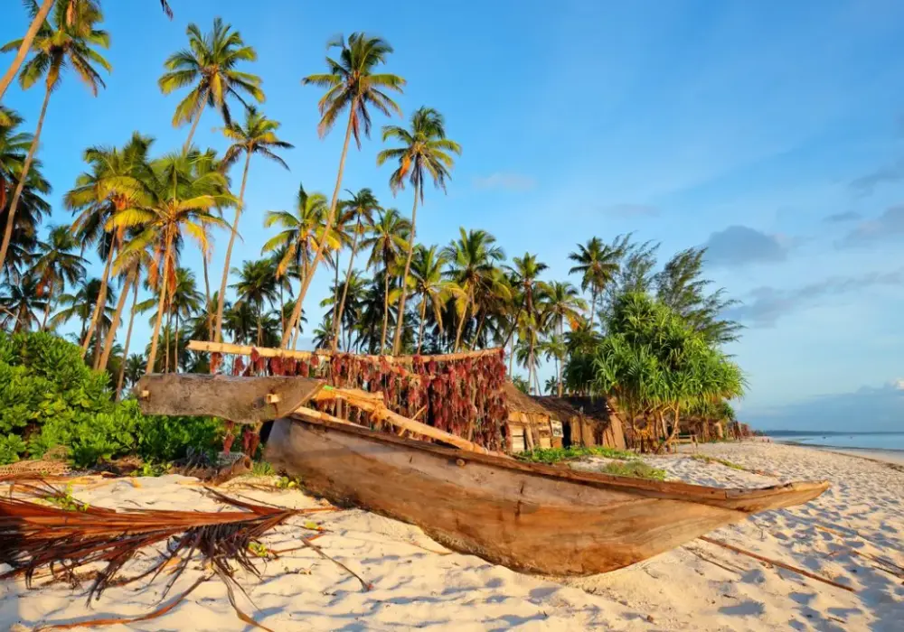 Ile kosztują bilety lotnicze na Zanzibar? Sprawdzamy średnie ceny lotów i najlepsze okazje