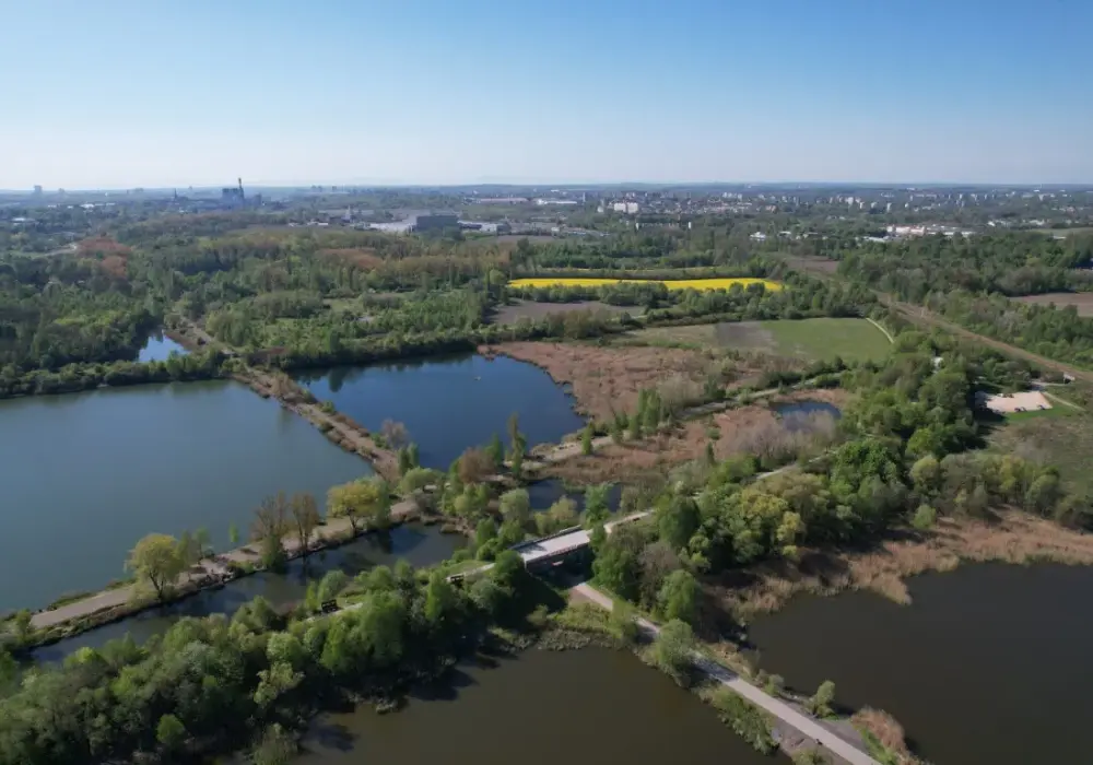 Dlaczego Żabie Doły to raj dla miłośników przyrody? To 6 powodów!