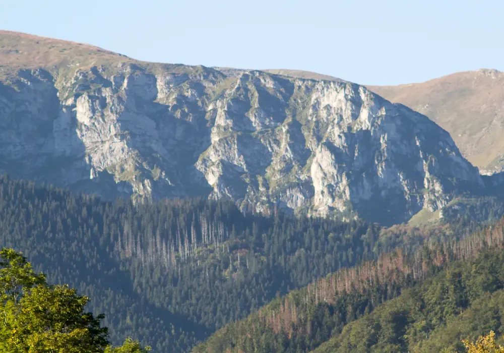Zakopane: 5 miejsc, które podbiją Twoje serce!