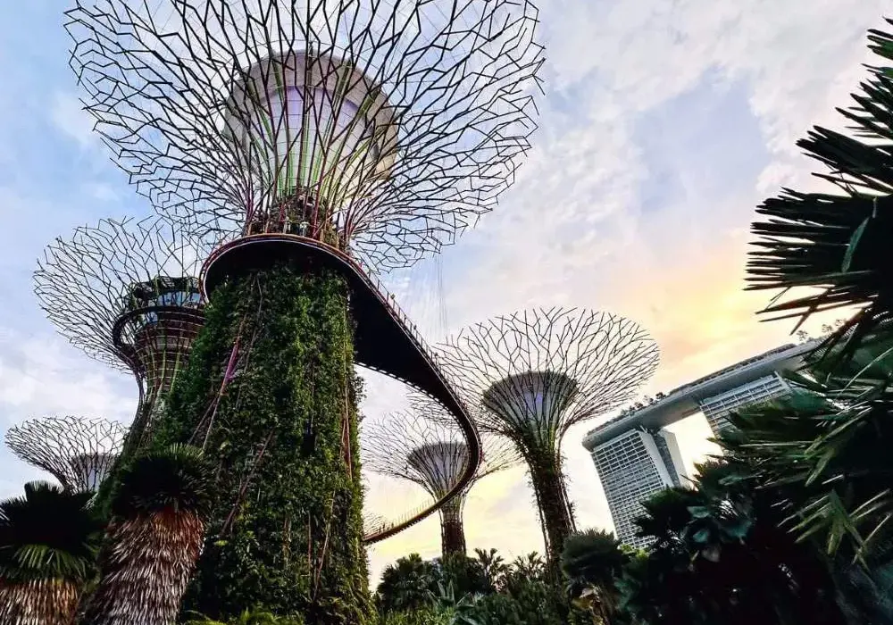 Czemu te 7 atrakcji Singapuru przyciąga miliony turystów? Odkryjmy