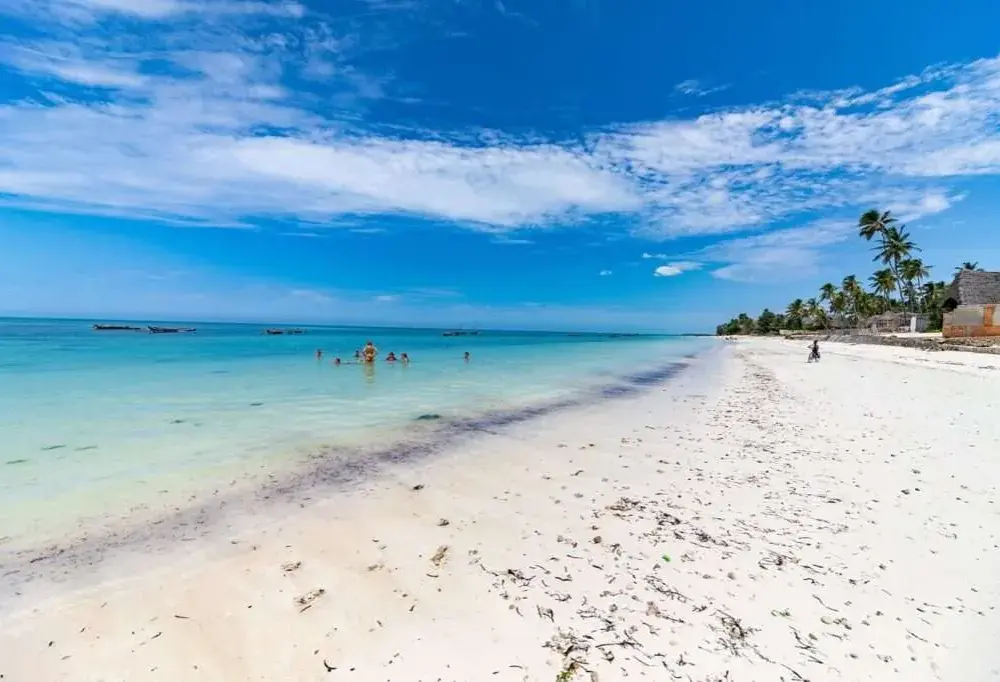 Kiedy najlepiej jechać na Zanzibar? Oto prawda o pogodzie w lutym