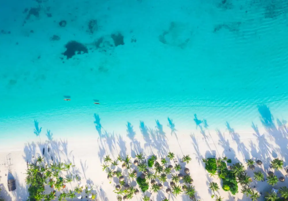 Czas lotu z Warszawy na Zanzibar - ile godzin trwa przelot?