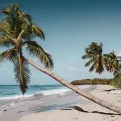 Jak zaplanować wymarzony odpoczynek na Bali: wyprawa życia od A do Z