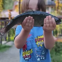 Gdzie zjeść najlepszego pstrąga w urokliwej Szczawnicy? 3 miejsca