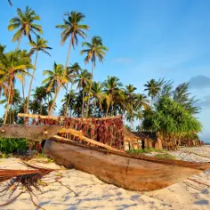 Ile kosztują bilety lotnicze na Zanzibar? Sprawdzamy średnie ceny lotów i najlepsze okazje