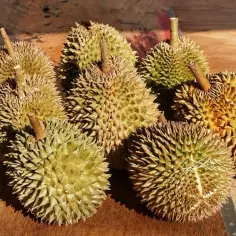 Azjatycki owoc: Durian i inne owoce azjatyckie