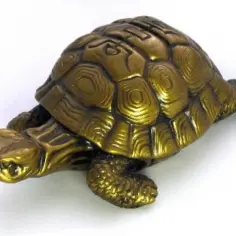 Dlaczego żółw jest święty w Azji? Oto symbolika, która Cię zadziwi