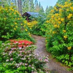 Arboretum Lądek Zdrój: czym zachwyca to wyjątkowe miejsce?