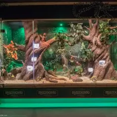 Ile kosztuje wstęp do Myszogrodu w sercu Zakopanego? Oto cennik