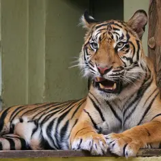 Które zoo w Polsce zapewni Ci największe emocje? Top 5 rankingu!