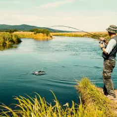 Gdzie złowisz największe okazy w dolnośląskim? Oto top 5 łowisk