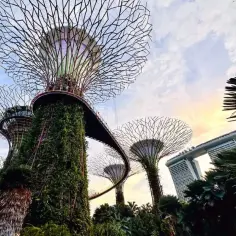 Czemu te 7 atrakcji Singapuru przyciąga miliony turystów? Odkryjmy