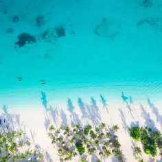 Czas lotu z Warszawy na Zanzibar - ile godzin trwa przelot?