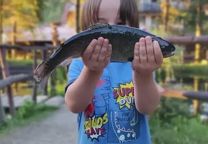 Gdzie zjeść najlepszego pstrąga w urokliwej Szczawnicy? 3 miejsca