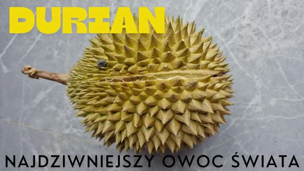 Zdjęcie Durian owoc - sklep z egzotycznym owocem