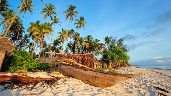 Ile kosztują bilety lotnicze na Zanzibar? Sprawdzamy średnie ceny lotów i najlepsze okazje
