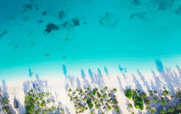 Ile trwa lot na Zanzibar z Polski? Wszystko, co musisz wiedzieć o czasie podróży na Zanzibar